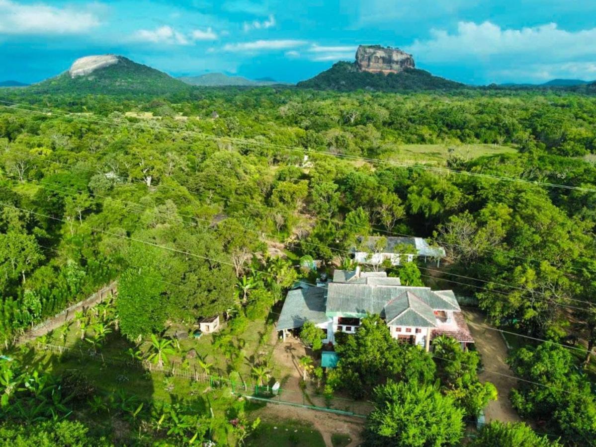 Sinhagiri Villa Sigiriya Eksteriør billede