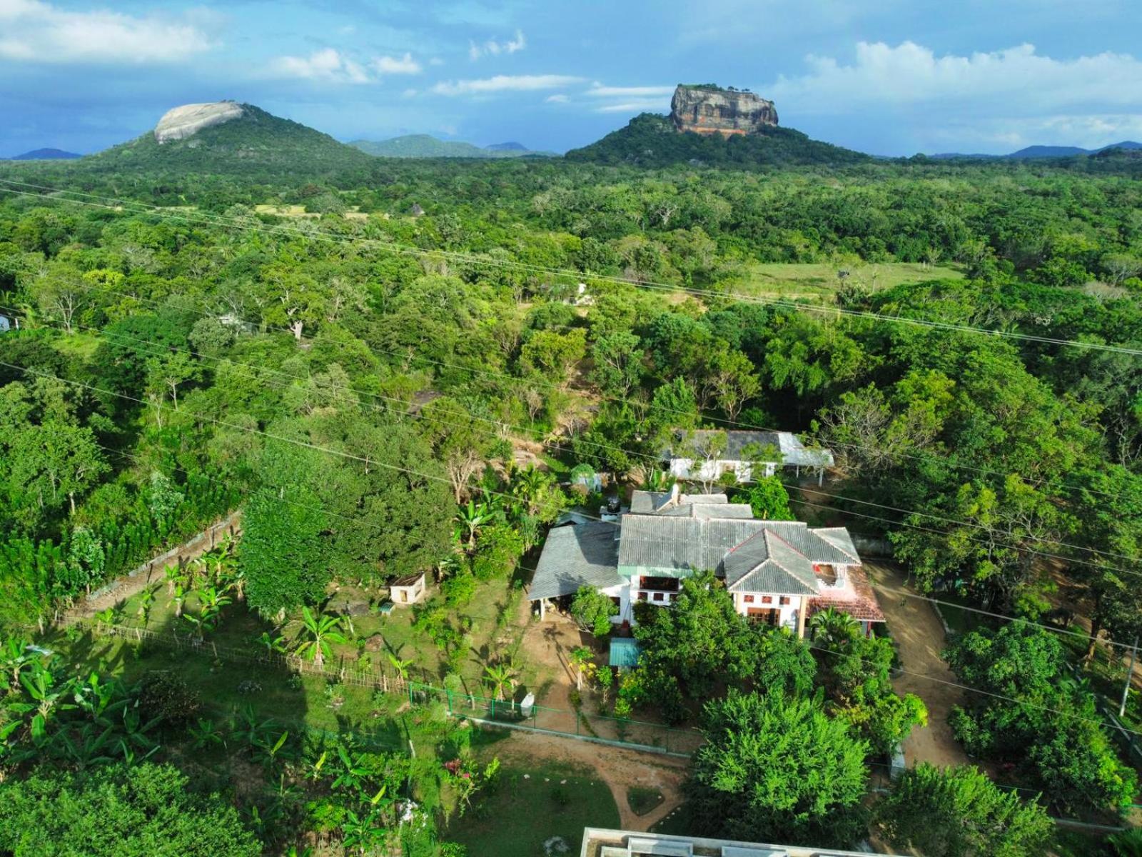 Sinhagiri Villa Sigiriya Eksteriør billede