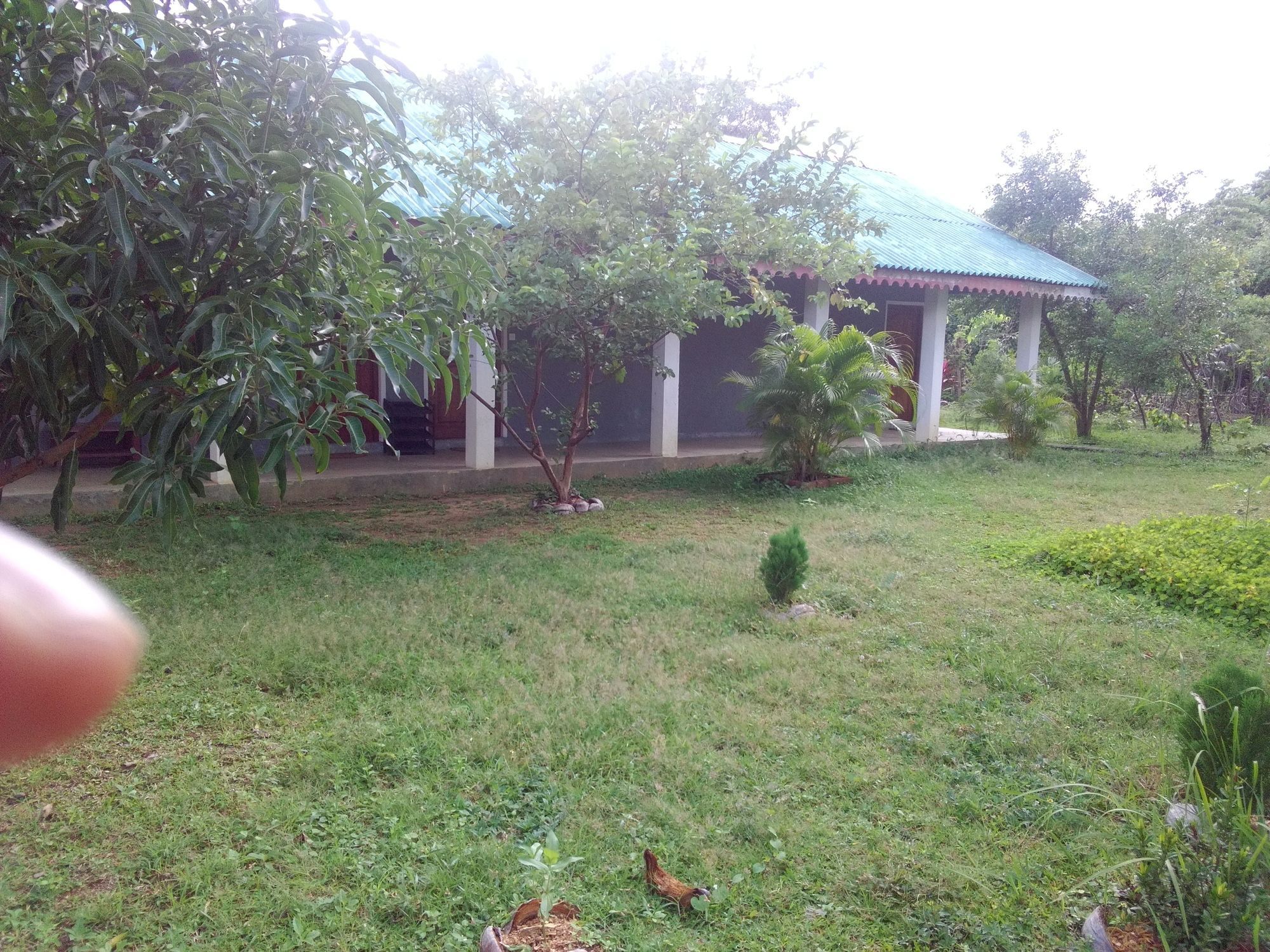 Sinhagiri Villa Sigiriya Eksteriør billede