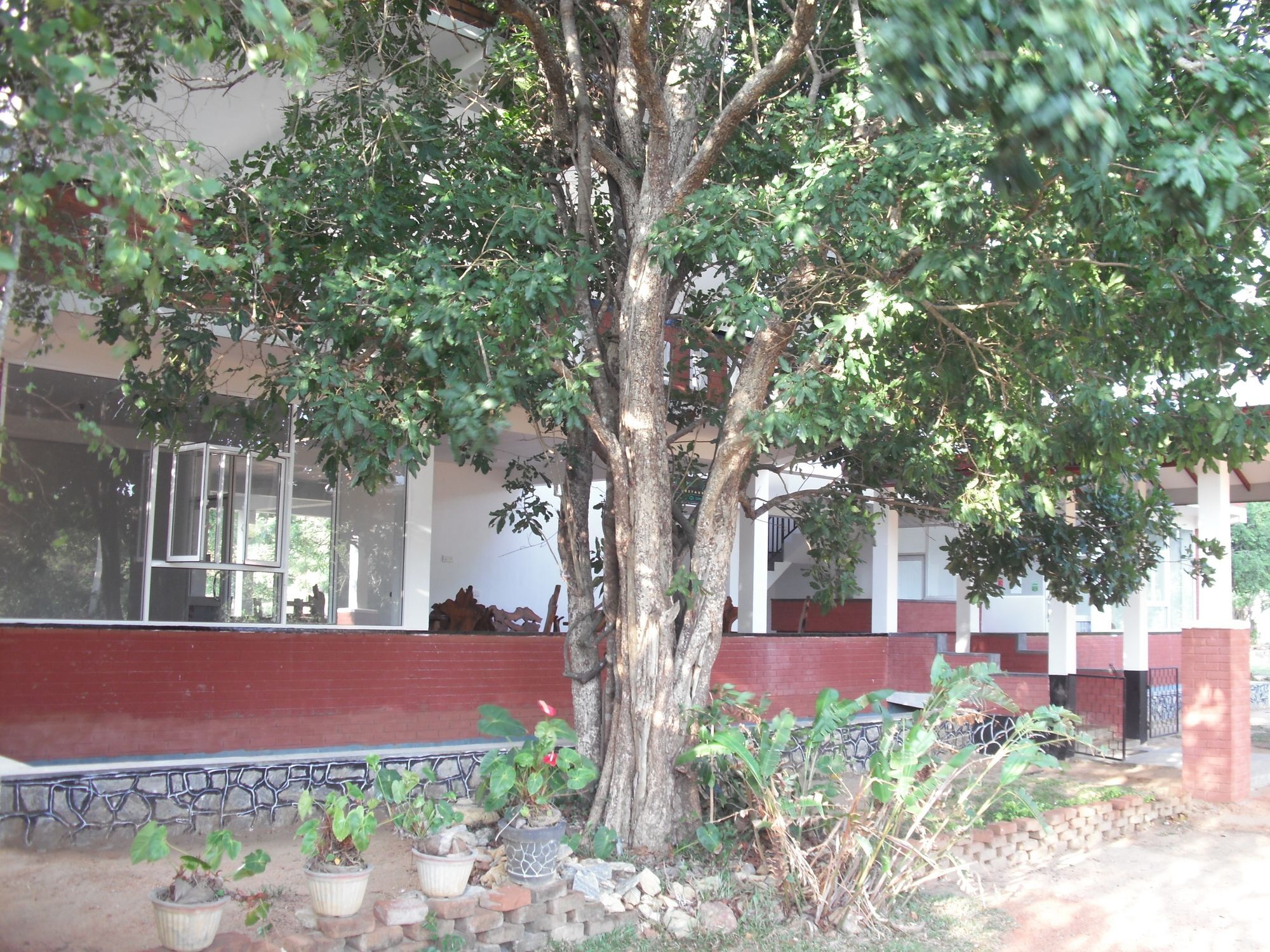 Sinhagiri Villa Sigiriya Eksteriør billede