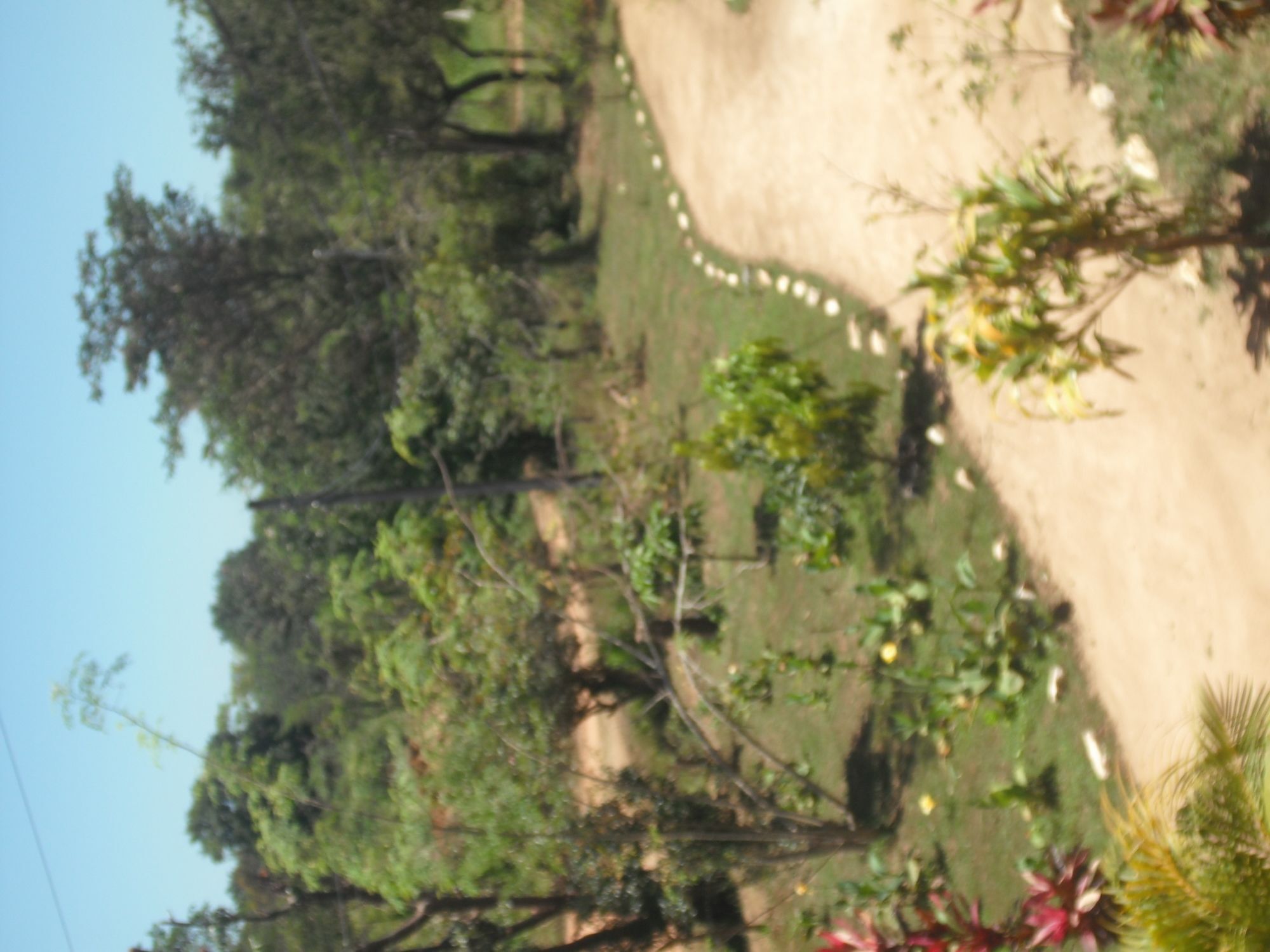 Sinhagiri Villa Sigiriya Eksteriør billede